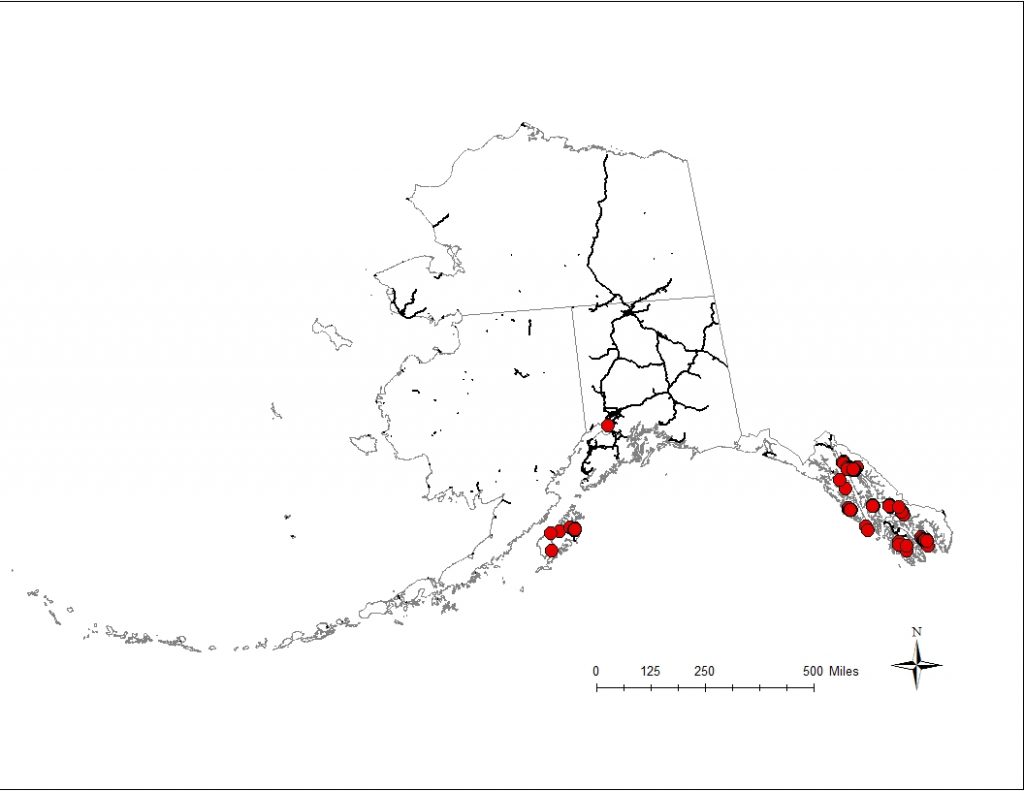 Documented roadside occurrences of Japanese, giant, Himalayan, and Bohemian knotweed in Alaska. Data from the Alaska Exotic Plant Information Clearinghouse.